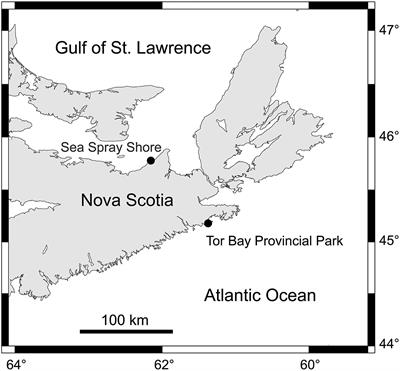 Low Winter Extremes in Intertidal Temperature in Nova Scotia in the Absence of an Ice Foot